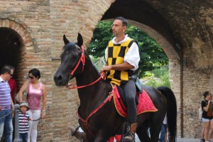 contesa2014cav