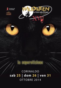 gattovolantino